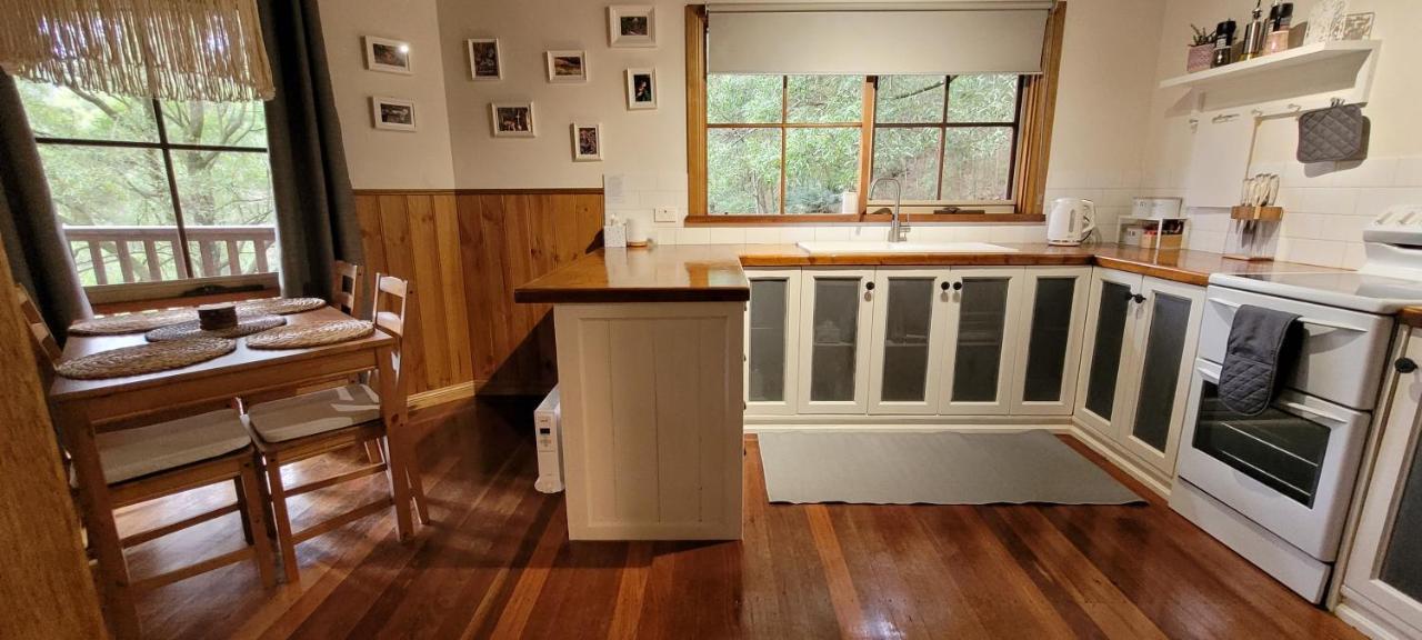 Tall Trees Eco Retreat - Blackwood Cottage Apollo Bay Bagian luar foto