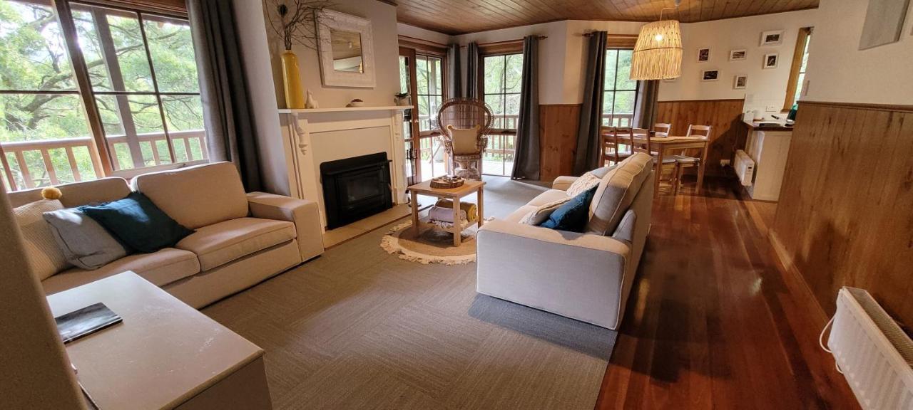 Tall Trees Eco Retreat - Blackwood Cottage Apollo Bay Bagian luar foto