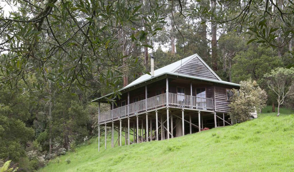 Tall Trees Eco Retreat - Blackwood Cottage Apollo Bay Bagian luar foto