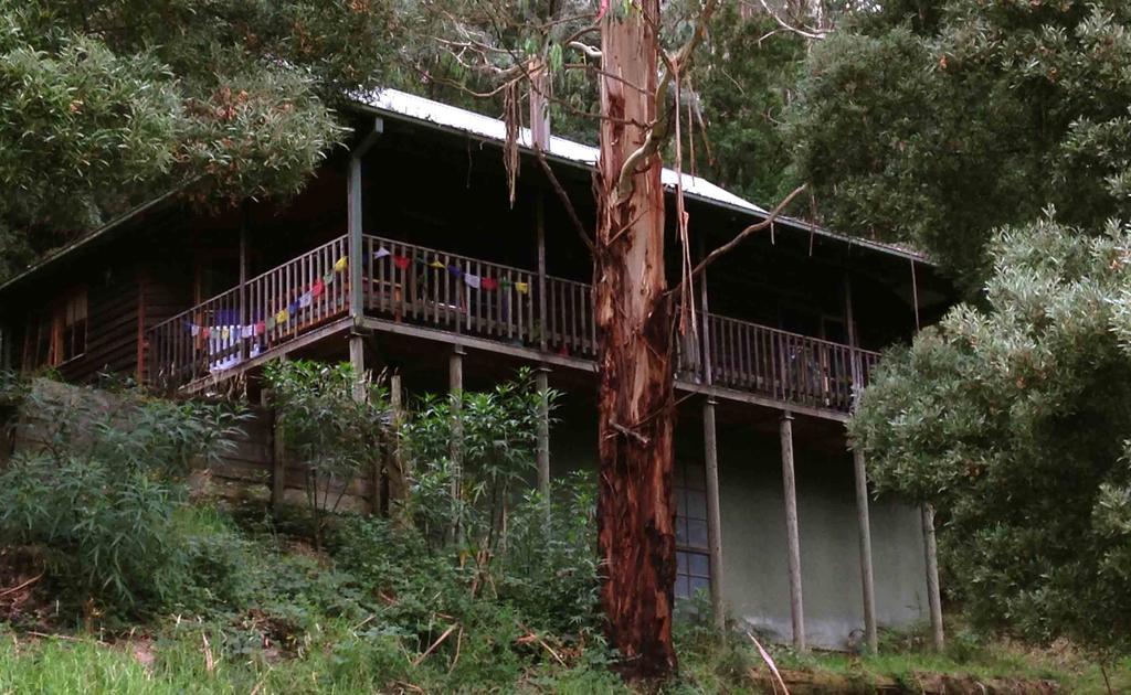 Tall Trees Eco Retreat - Blackwood Cottage Apollo Bay Bagian luar foto