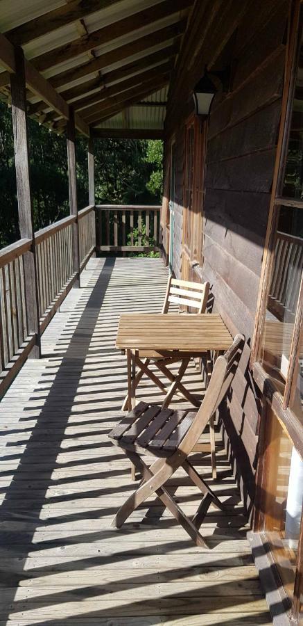 Tall Trees Eco Retreat - Blackwood Cottage Apollo Bay Bagian luar foto